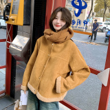 有买家秀现货皮毛一体羊羔毛2738328P165控248，女装皮草，浙宝273