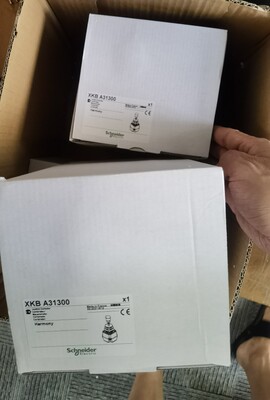 包邮施耐德 XKB-A31300主令控制器原装现货假一罚十