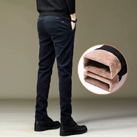 9038 синий плюс бархат