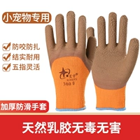 Взрослые [маленькие домашние животные] Толщина апельсина (анти -скользящий анти -бит)