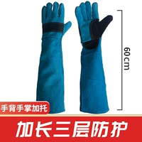 [Double -Layer Lage Pet 60 см зеленый синий] 2 пары средней цены (2 двойная бесплатная доставка)