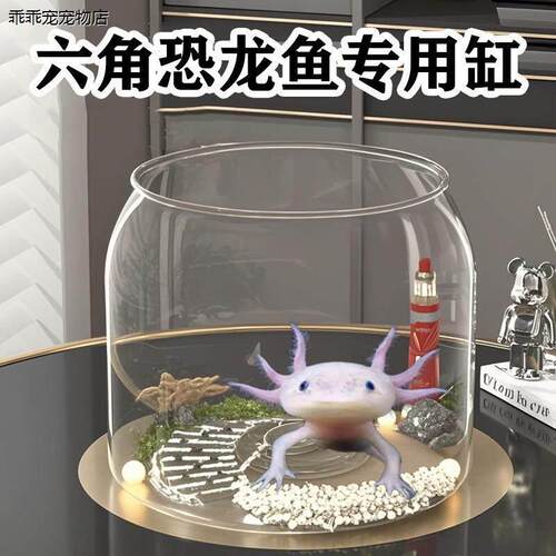 √六角恐龙鱼专用缸蝾螈