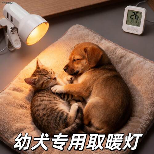 √幼犬专用取暖灯宠物保