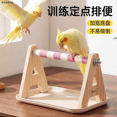 √鹦鹉定点排便站架小太