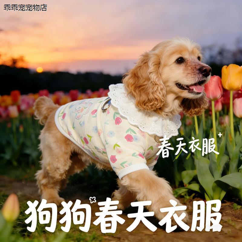 √可卡美卡专用狗狗衣服图片
