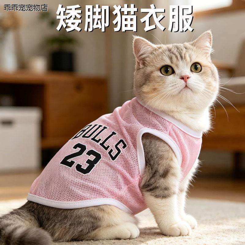 √矮脚猫衣服专用夏季薄图片