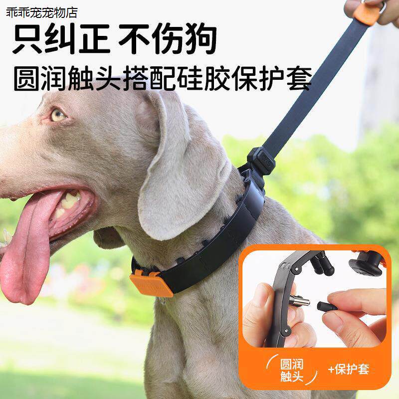 √中大型犬专用刺激链项