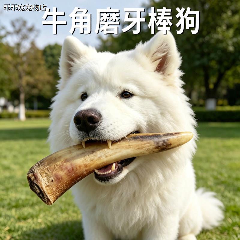 √牛角磨牙棒狗狗专用大图片