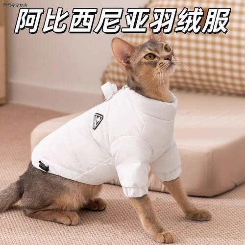 √阿比西尼亚猫咪专用衣