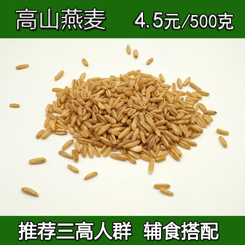 云南高寒山区特产燕麦米 优质农家高山燕麦仁 养生五谷杂粮500g