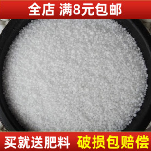 氮肥速效氮肥尿素盆栽植物化肥绿萝文竹铁树发财树幸福树万年青等