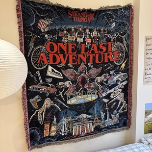 Stranger Things 怪奇物语科幻美剧 Demogorgon魔王菊花怪挂毯