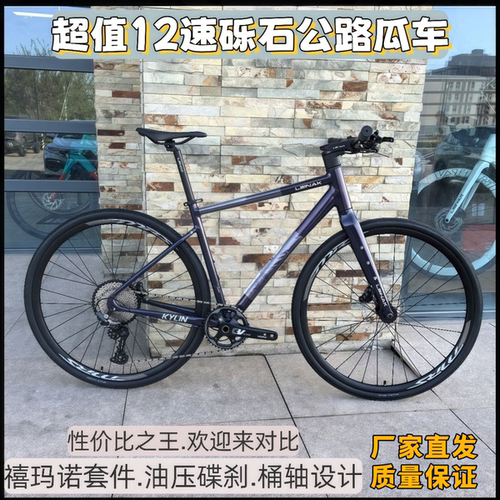 雷纳克平把瓜车12速油碟