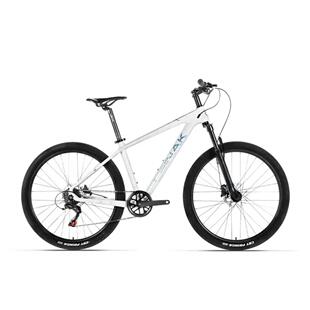 LEINAK雷纳克青云越野级碳纤维架21速线碟避震前叉山地自行车