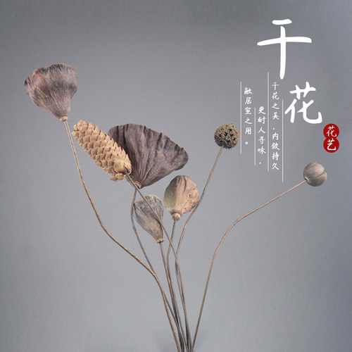 干花小莲蓬手工制作拍摄干花