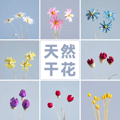 ins网红天然干花真花小花瓶摆件