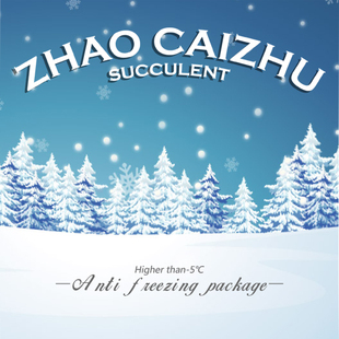 保温链接 泡沫盒保温 双层泡沫盒 零度以下地区发货 补拍 赵财主