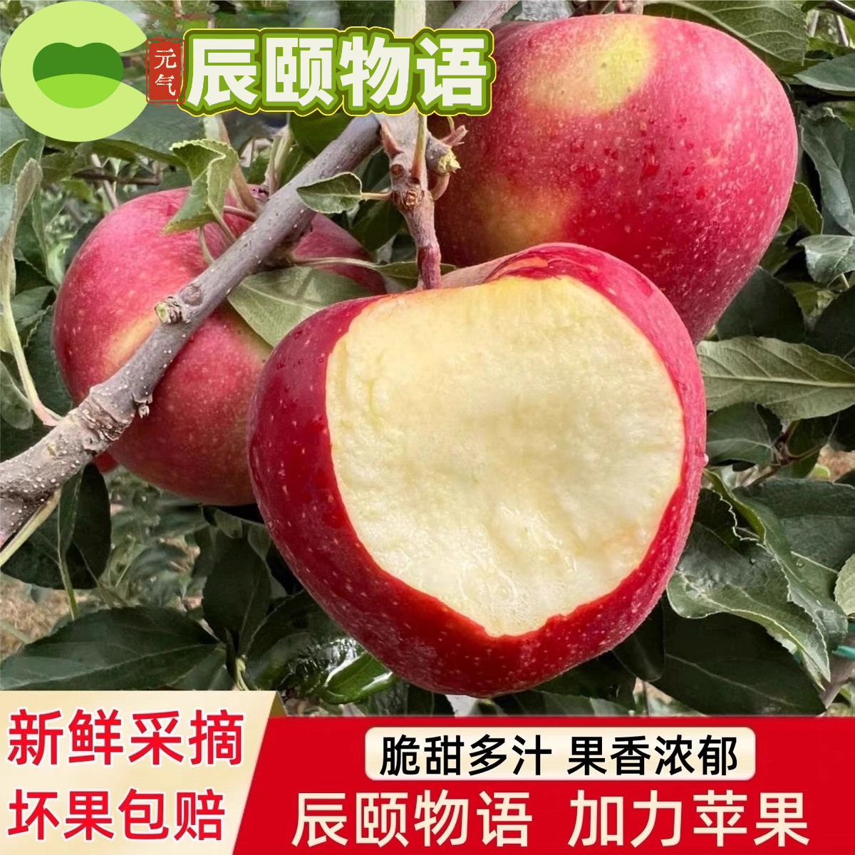 辰颐物语甘肃加力苹果新鲜现摘当季水果脆甜嘎啦红苹果整箱包邮图片