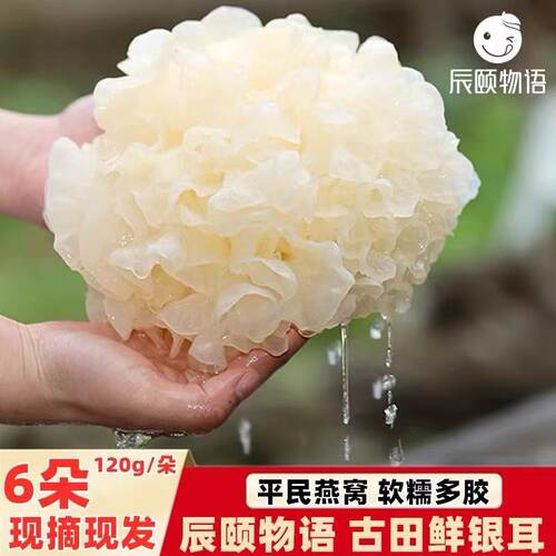 古田优质银耳原生鲜品清甜好炖煮