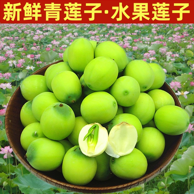 【现摘】莲子新鲜莲蓬现剥米新鲜蔬菜孕妇即食湖南湘莲生吃嫩莲子