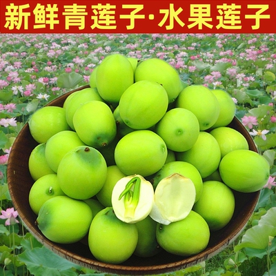 【现货】莲子嫩莲子现摘新鲜莲蓬