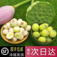 2025早熟新鲜莲蓬祁阳嫩莲蓬带杆现摘现发生吃水果莲子米当季水果