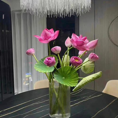 新鲜鲜花莲蓬花苞新鲜现摘小荷花