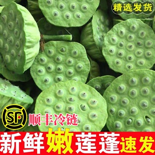 【顺丰冷链】湖南祁阳莲蓬新鲜生莲子米嫩甜水果孕妇当季3斤现摘