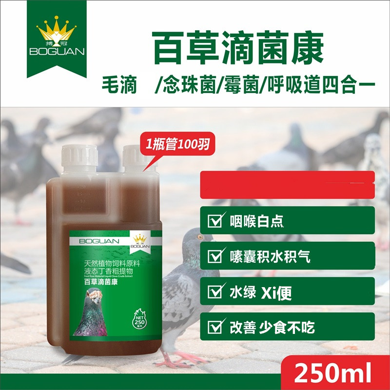 搏冠百草滴菌康清理鸽子鹦鹉毛滴虫念珠菌霉菌呼吸道专用保健品