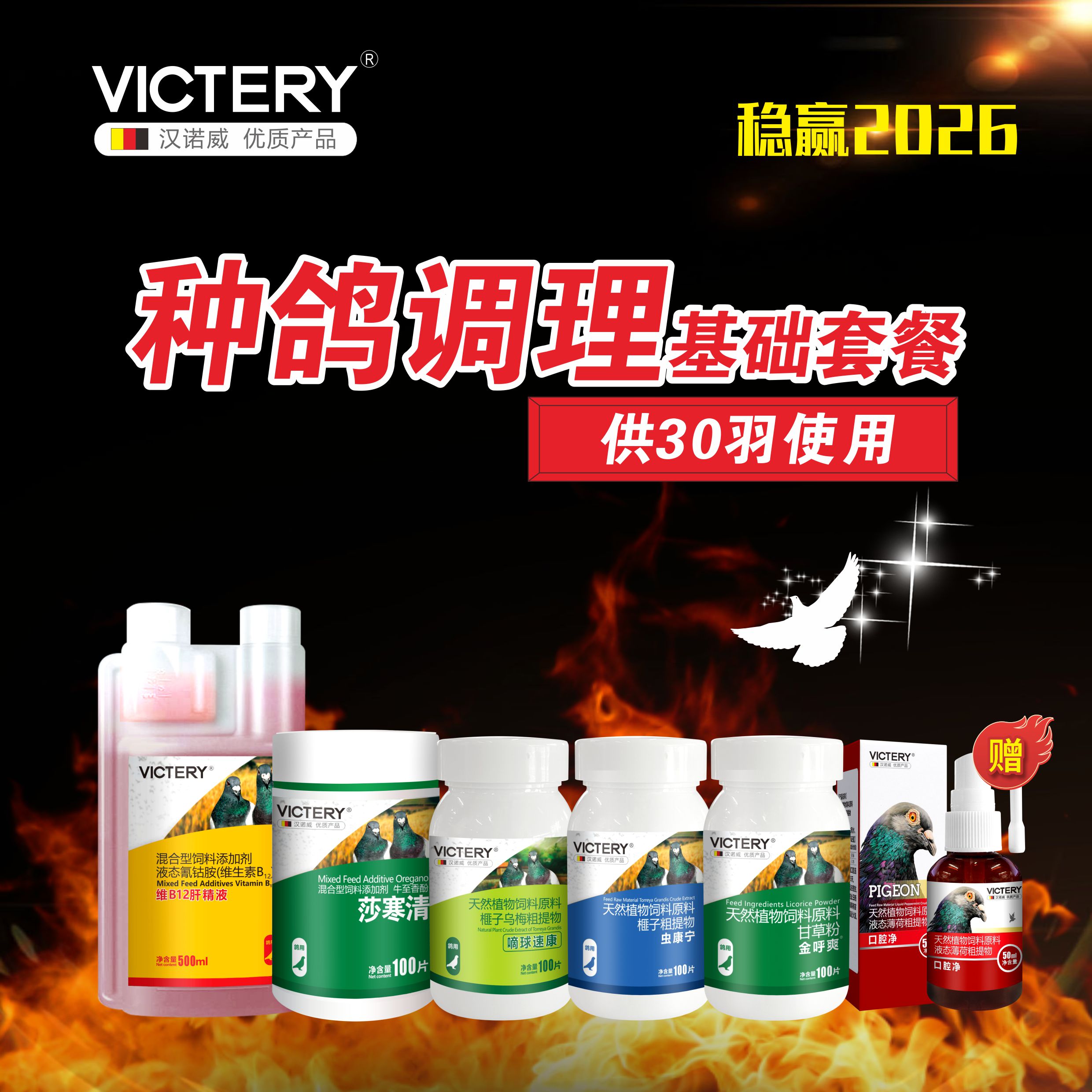 种鸽调理套装组合清理+调理片剂