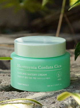 Tonymoly托尼魅力鱼腥草积雪草面霜100ml补水保湿舒缓镇静韩国