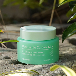 Tonymoly托尼魅力鱼腥草积雪草面霜100ml补水保湿舒缓镇静韩国