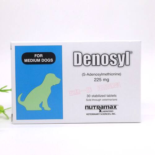 黄疸保肝DENOSYL丹诺士狗