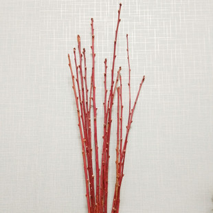 天然野生东南桃木枝书房插花儿童婴儿卧室客厅花束桃木棍防惊吓