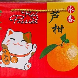 现货永春芦柑5斤-10斤纸箱空礼盒礼品加厚柑橘礼盒非芦柑包邮
