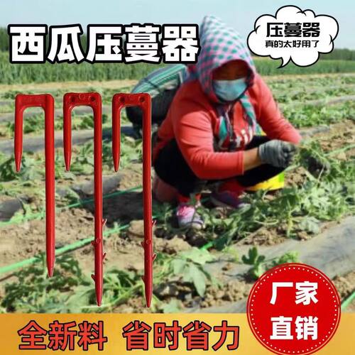西瓜压蔓器防风抗风藤蔓固定器
