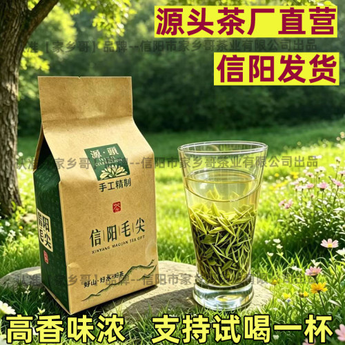 信阳毛尖茶叶自己喝信阳毛尖2026新茶正品绿茶精品特级散装毛尖