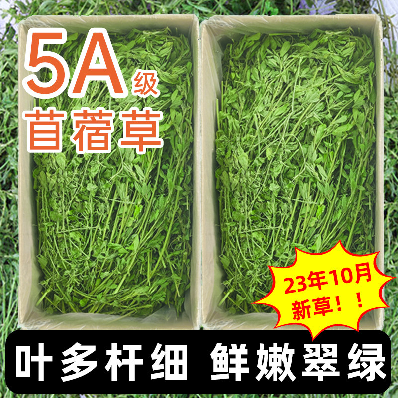 25年苜蓿草 新茬烘干宠物兔粮饲料紫花苜蓿牧干草 毛重1000克包邮,宠物/宠物食品及用品,兔兔干草,淘宝优惠券,粉丝福利购,淘宝优惠卷