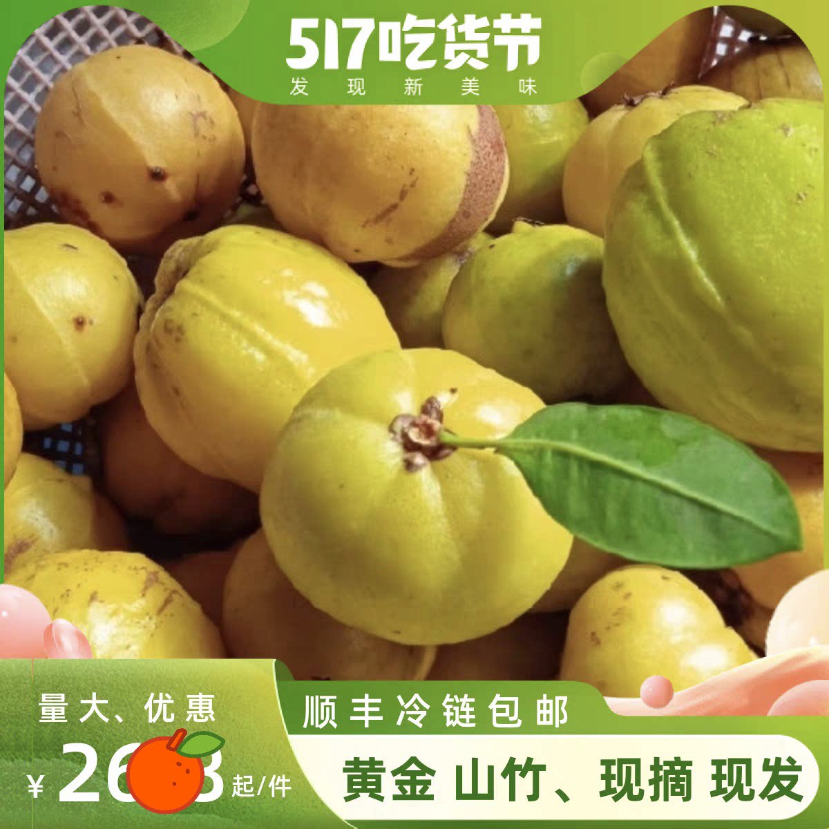 广西野生山竹 新鲜现摘现发黄金山竹 黄牙果 应季稀有水果