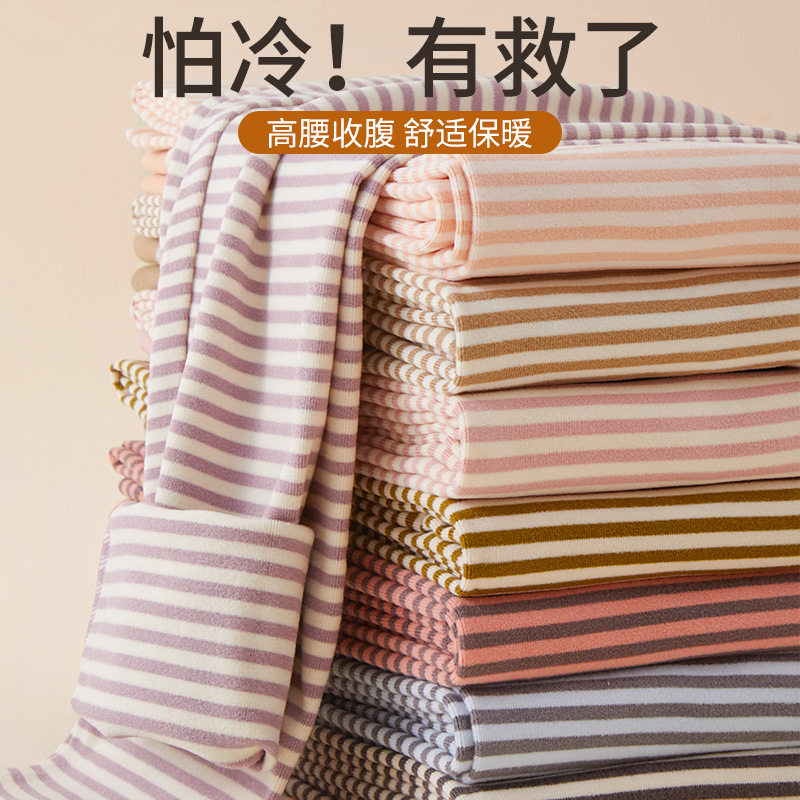 女士条纹秋裤内穿秋冬高腰德绒保暖裤7A抗菌打底裤防螨无痕线裤