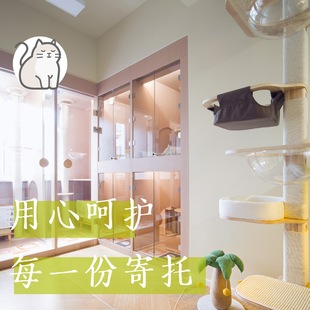 【K·K CAT】咔咔喵·猫咪寄养旅店 一户一间 全上海可接送