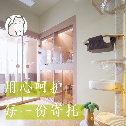 咔咔喵酒店式寄养不混养可接送