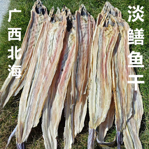 广西北海渔民自晒鳝鱼干海鳗鱼干
