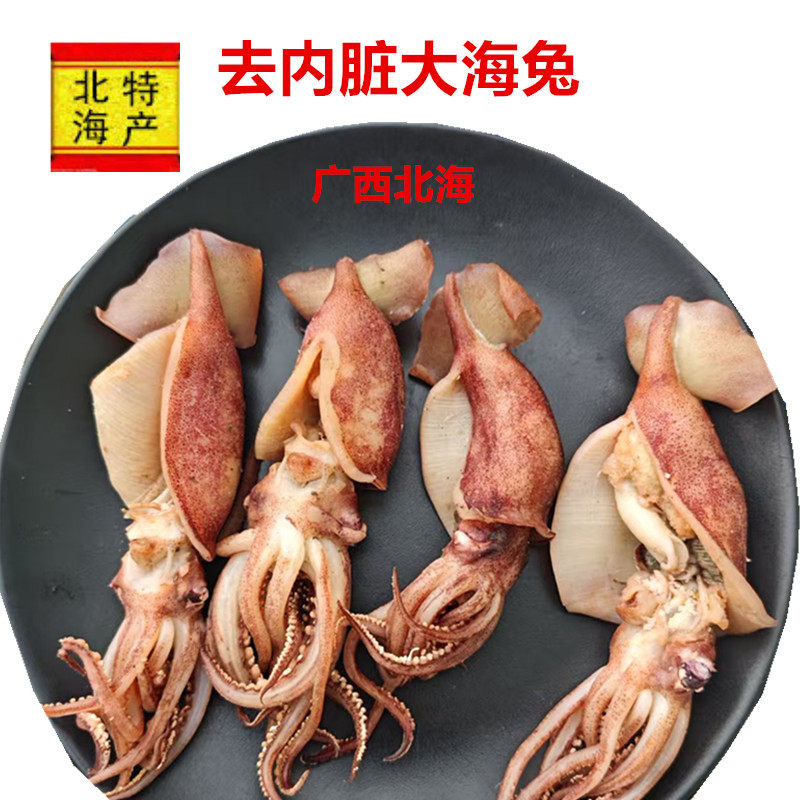 广西北海渔民自晒小海兔鱿鱼仔