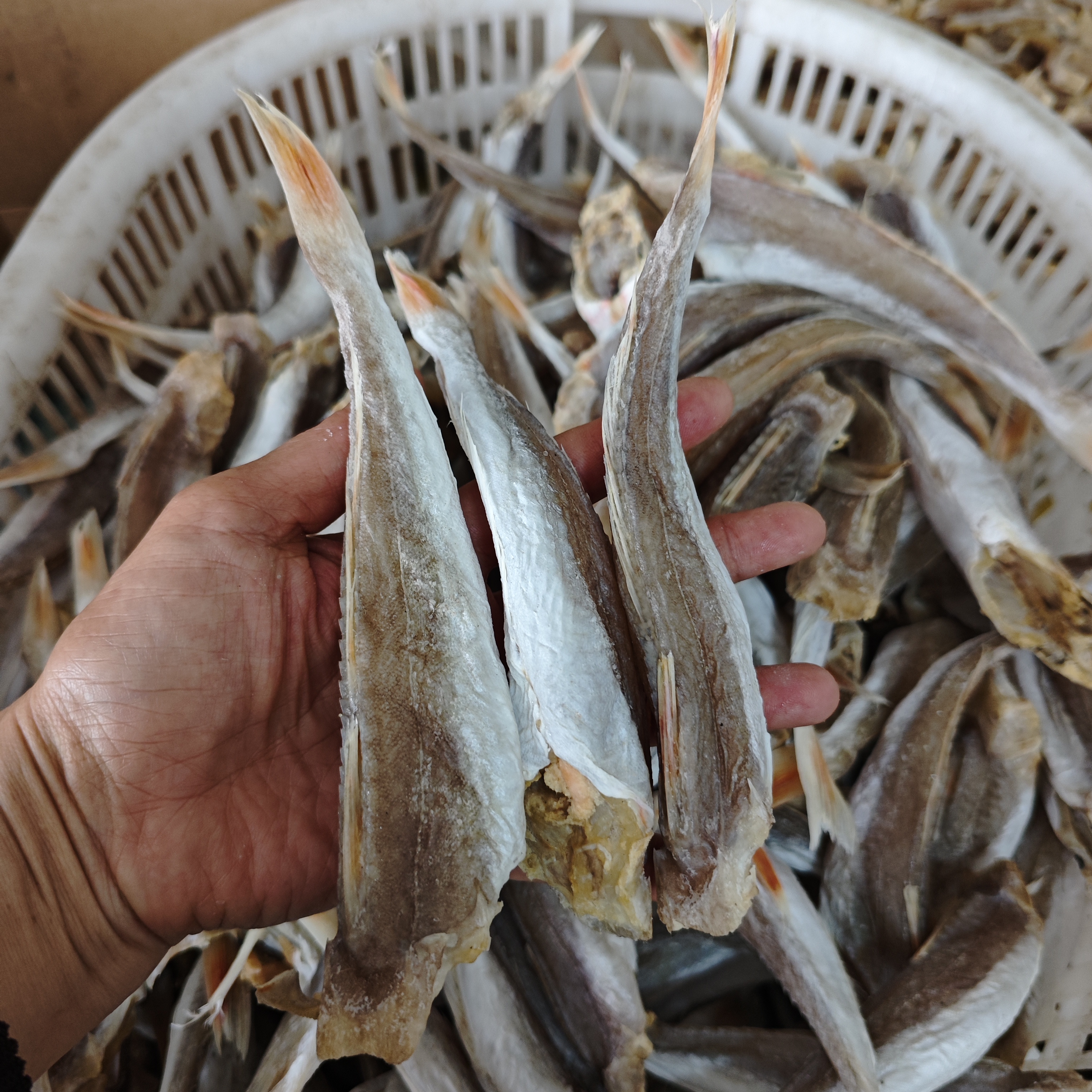 淡晒红娘鱼干广西北海渔民自晒海鱼干新鲜干净大条水产干货