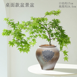 家用简约花盆陶瓷仿古桌面流泉枫盆景盆落地绿植陶盆三角梅多肉盆
