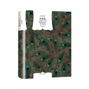 正版彩画集 兰波散文诗全集 王道乾 上海译文出版社 收集 地狱一季 坏血统 彩画集 散文诗歌 译文经典精装本