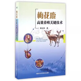 正版梅花鹿高效养殖关键技术 郜玉钢 中国农业科学技术出版社 梅花鹿养殖简单学梅花鹿的饲养管理常见病诊治 养殖书籍