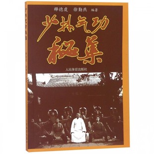 正版少林气功秘集 释德虔 人民体育出版社 少林武术练气功法中国少林武术大全 健身养生气功书 内力内功气功书籍