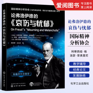 正版论弗洛伊德的 哀伤与忧郁 化学工业出版社 当代弗洛伊德 转折点与重要议题系列 当代弗洛伊德 精神分析专业应用教学辅导书